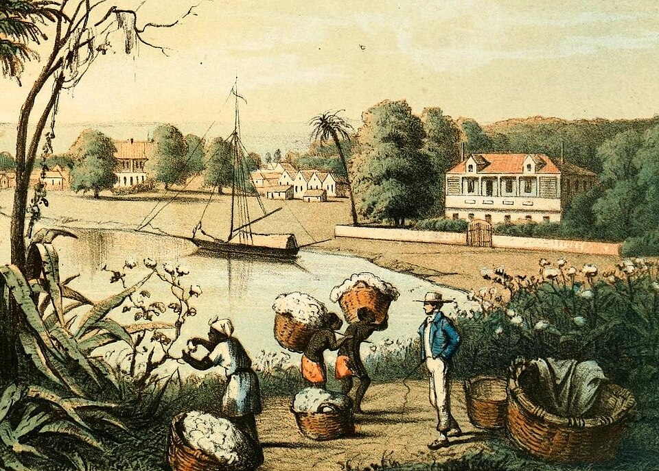 Enslaved people picking cotton on a Mississippi Valley plantation, 1857