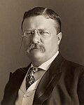 Theodore Roosevelt portrait